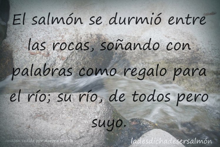 elsalmonylaspalabras3