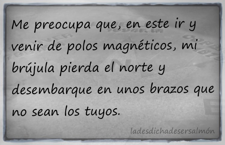 imantacion2-27022017