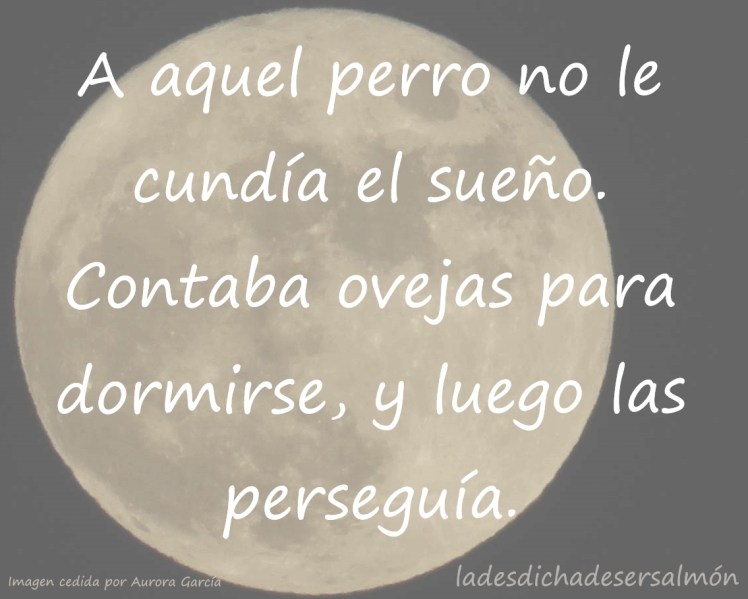 pierrinpierroso22-06032017