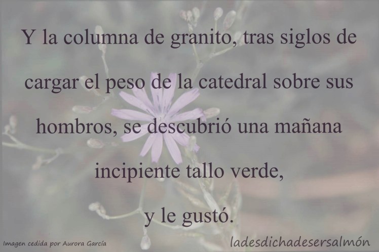 decolumnasytallos02102017