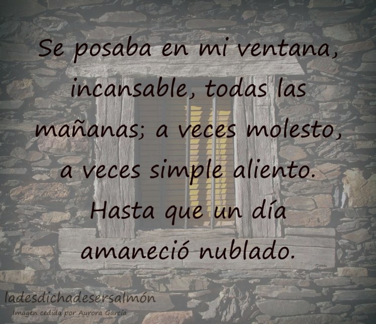 de rutinas2 26032018