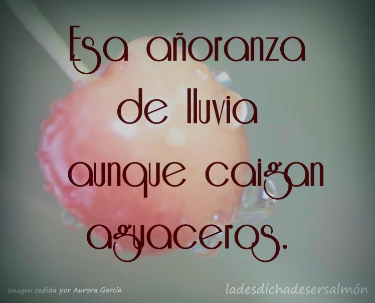 imisstherainII 16042018