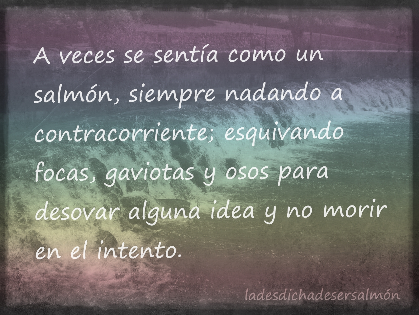 ladesdichadesersalmon2.jpg