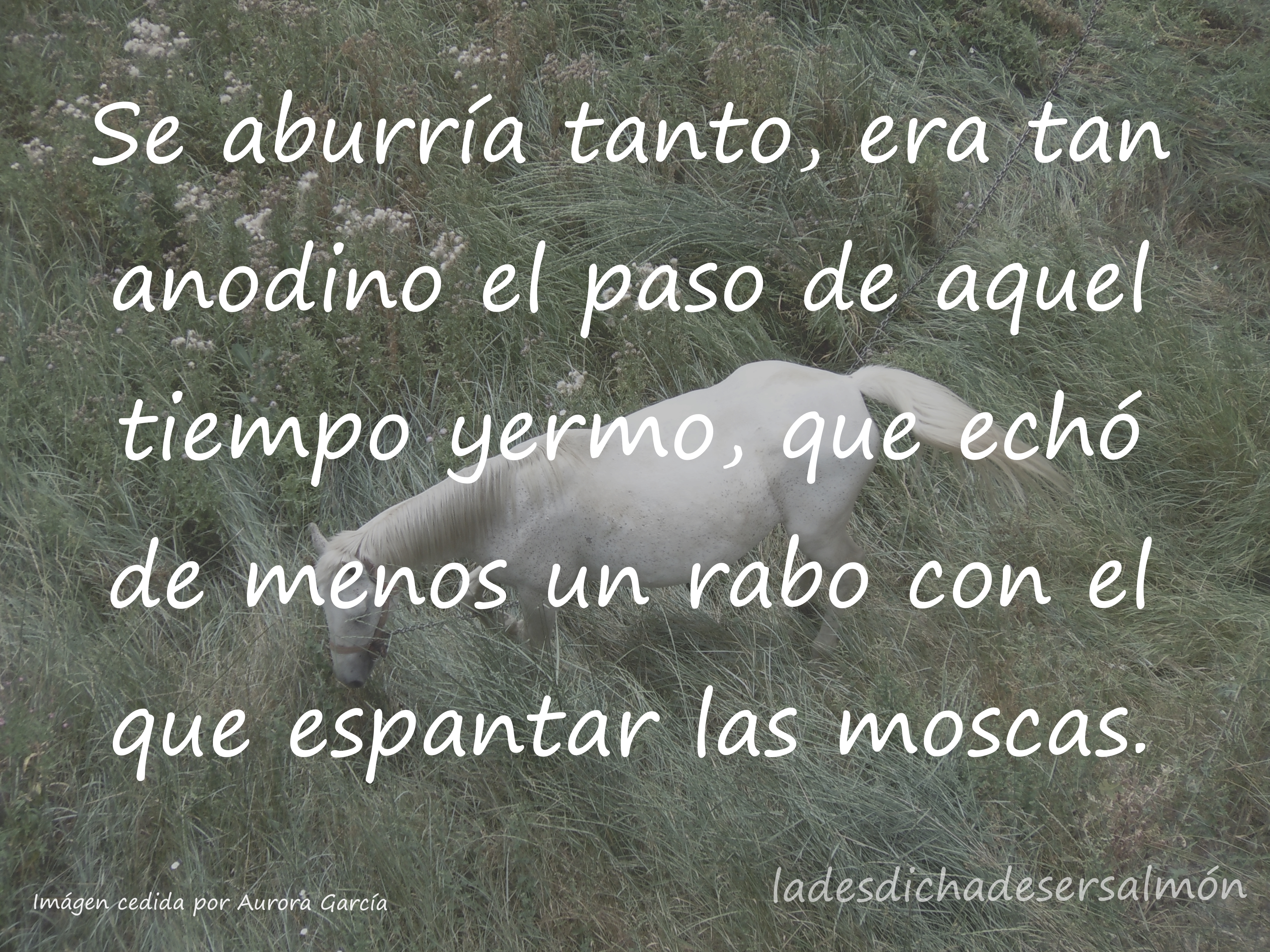 cuandoeldemonionadatiene1 01102018