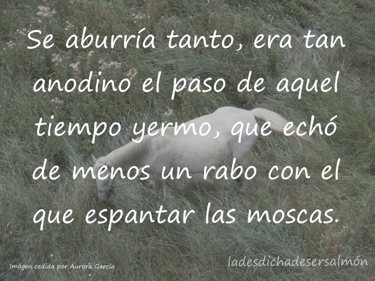 cuandoeldemonionadatiene1 01102018