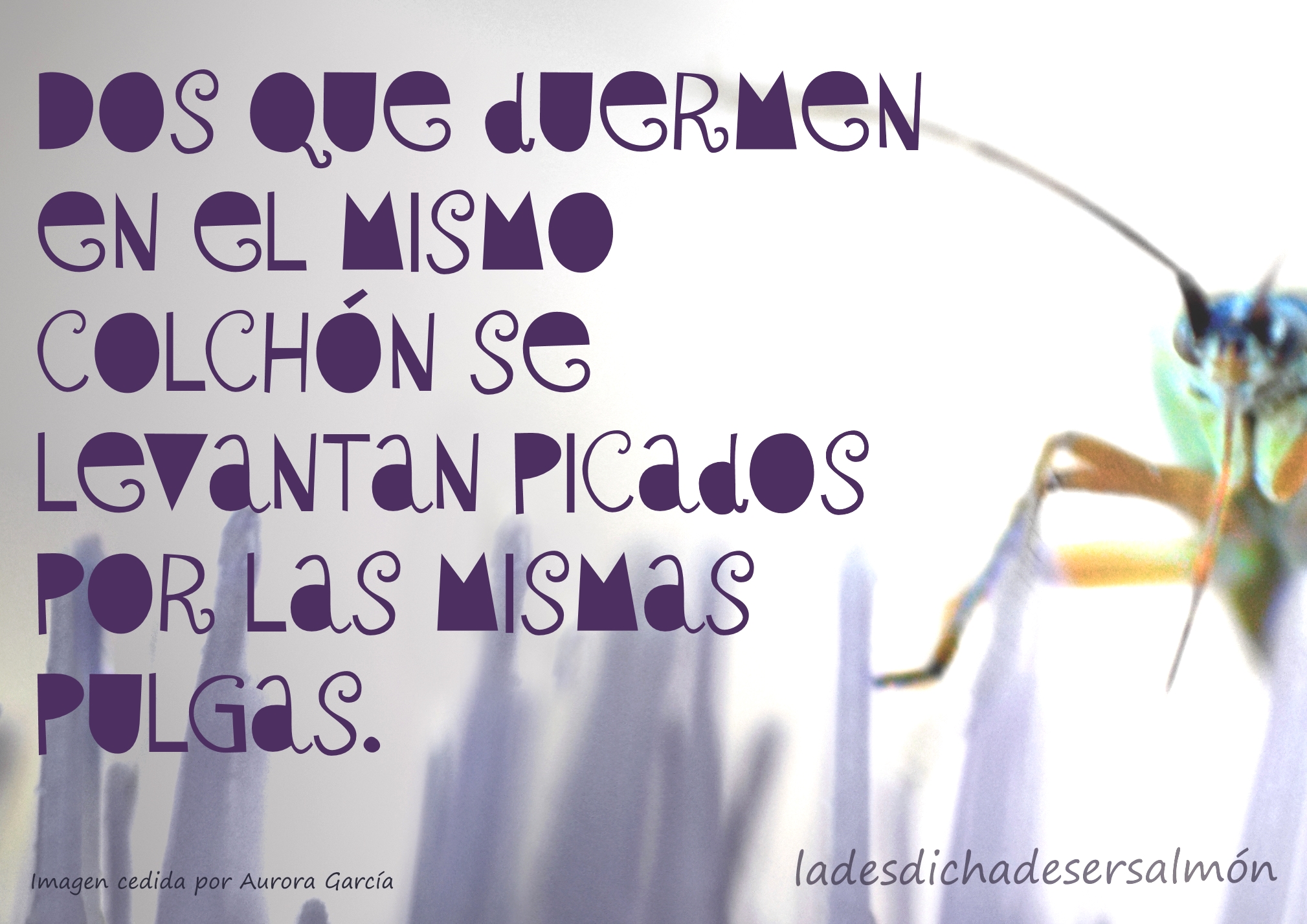 DOS QUE DUERMEN EN EL MISMO COLCHÓN