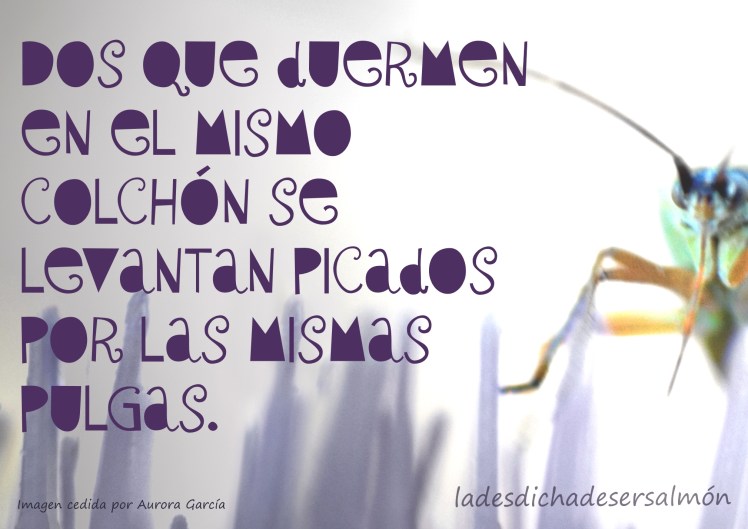 DOS QUE DUERMEN EN EL MISMO COLCHÓN