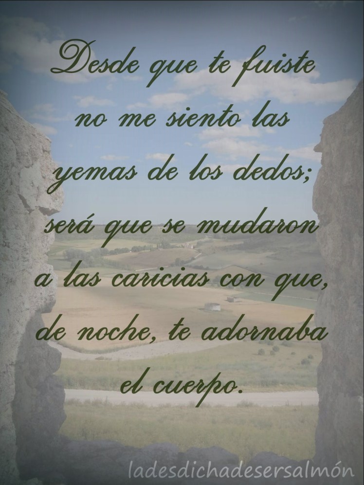 ausencia II 20052019 2