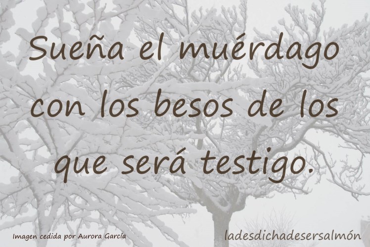 de solsticios de invierno v