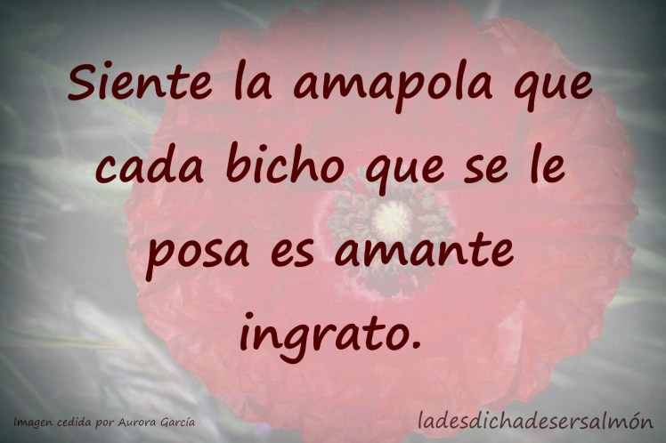 depicaflores 20042020